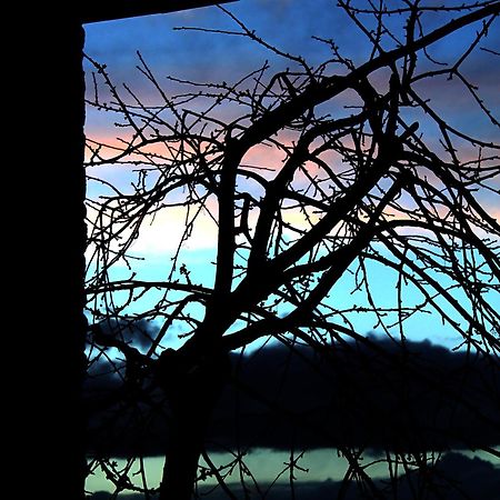 Podere Di Belforte Bagno a Ripoli Exteriör bild