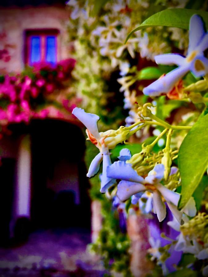 Podere Di Belforte Bagno a Ripoli Exteriör bild