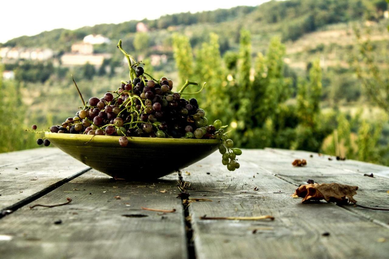 Podere Di Belforte Bagno a Ripoli Exteriör bild